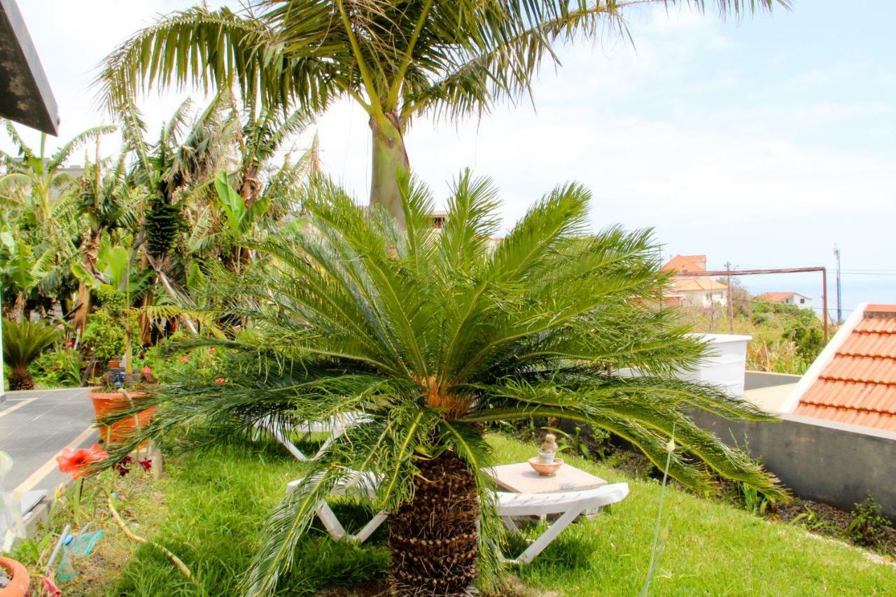 Apartmán Casa Simao Calheta  Exteriér fotografie